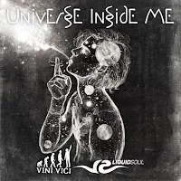 Vini Vici — Universe Inside Me Ft Liquid Soul — обложка